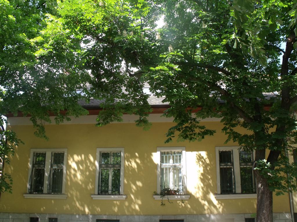 Adalbert Haz Βουδαπέστη Εξωτερικό φωτογραφία